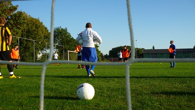 拥有考瓦伊 拥有考瓦伊