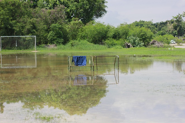 并不是完全 并不是完全