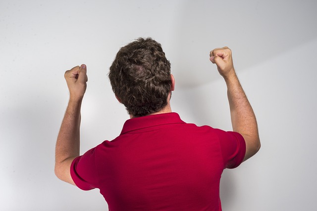 能一锤定音 能一锤定音