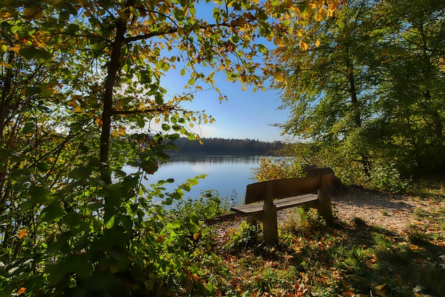 国足气氛组 国足气氛组