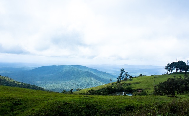 全力以赴 全力以赴