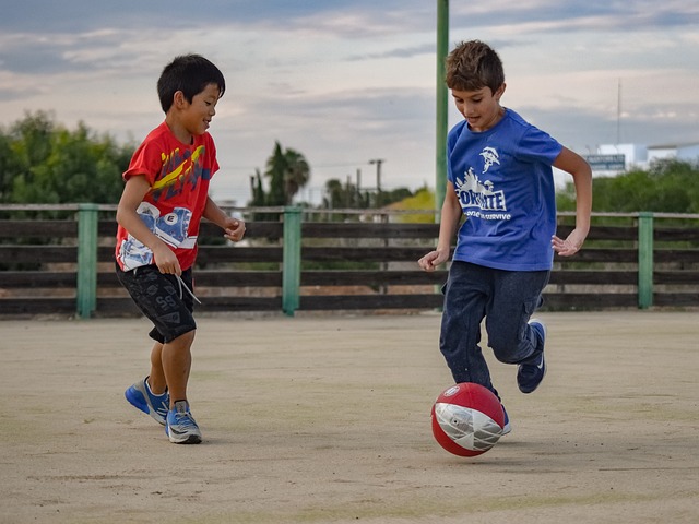 一些业内人 一些业内人