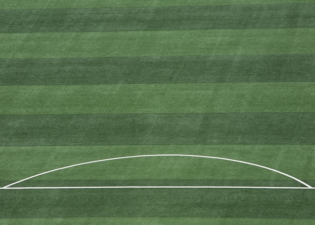 浇灌的结果 浇灌的结果