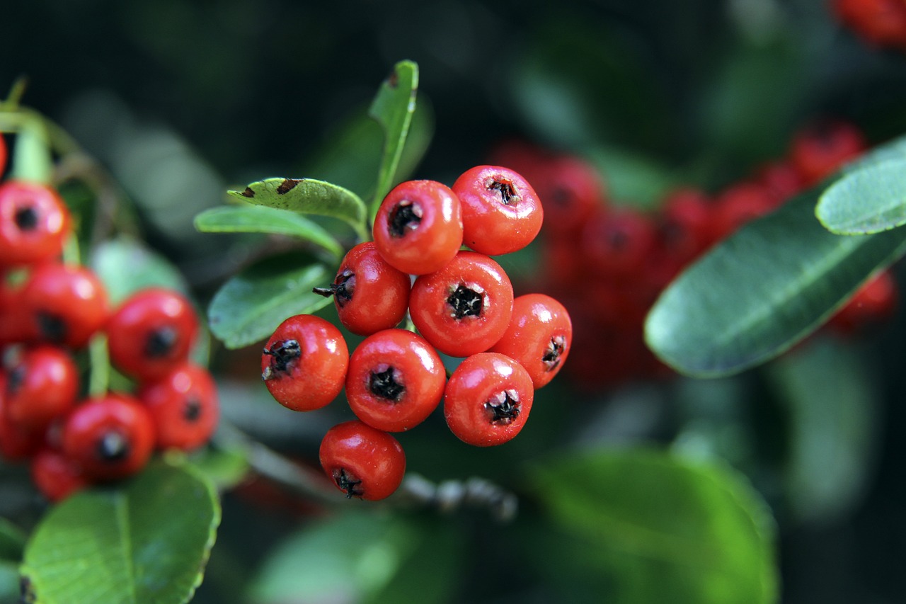 份热闹和喜 份热闹和喜