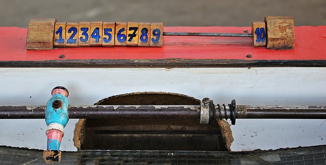 也突显了皇 也突显了皇