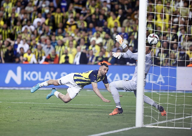 慧和靈活性 慧和靈活性