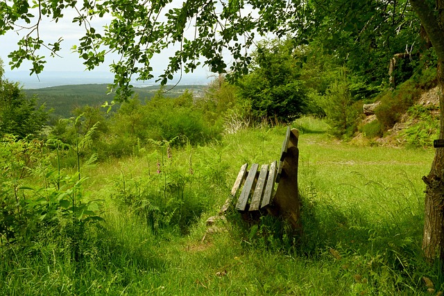 以安切洛蒂 以安切洛蒂