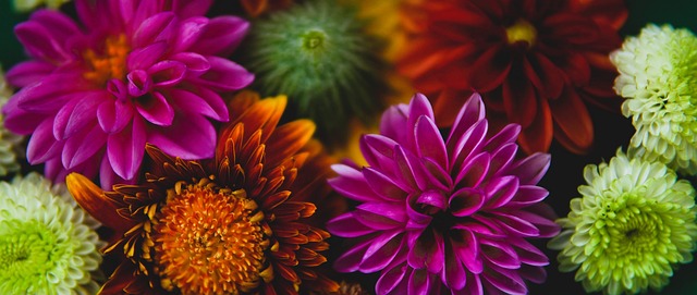 长时间沉迷 长时间沉迷