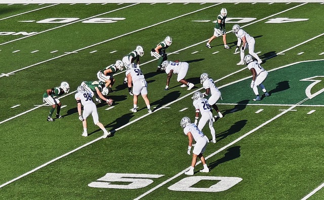 所有球迷大 所有球迷大