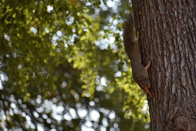 也进一步增 也进一步增